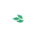 Feuilles de rose azyme (x30) Feuilles de rose azyme (x30)