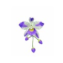 Emporte-pièce inox pétales orchidée cattleya PME (par 3) 