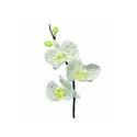 Emporte-pièce inox pétales orchidée PME (x3) Emporte-pièce inox pétales orchidée PME (x3)
