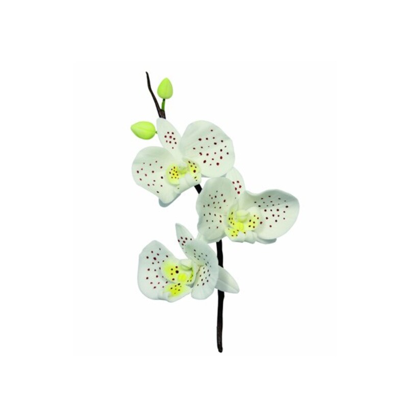 Emporte-pièce inox pétales orchidée PME (x3) 