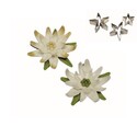 Emporte-pièce inox poinsettia PME (x3) Emporte-pièce inox poinsettia PME (x3)