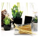Sachet plat cellophane x100 Sachet plat cellophane x100