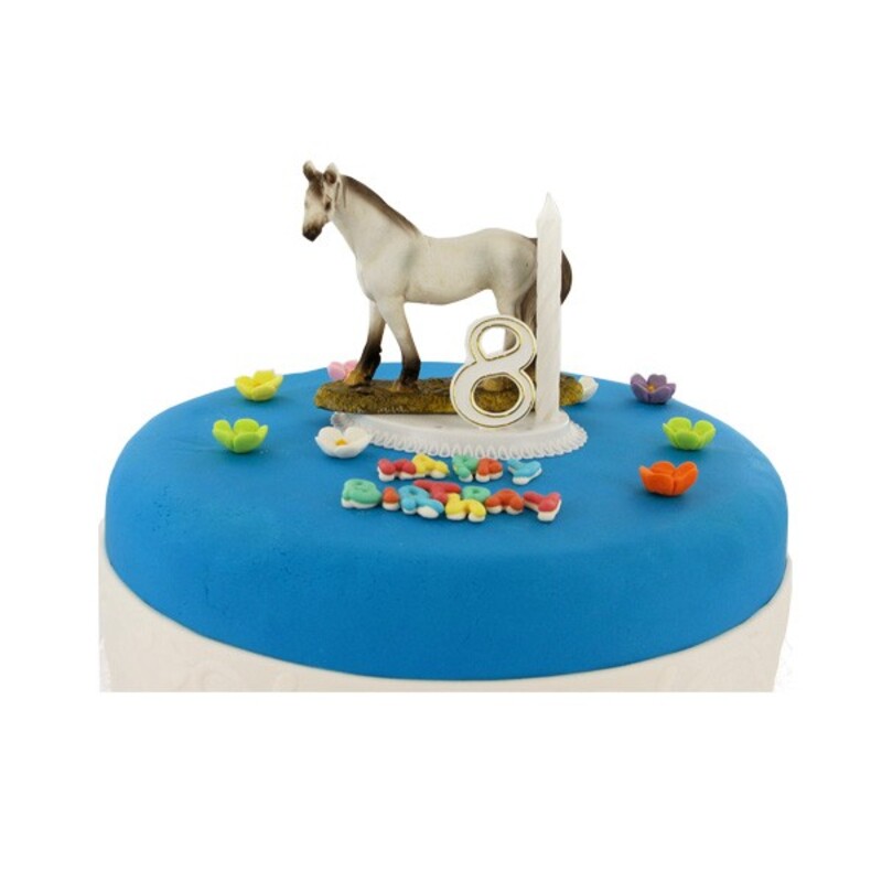 Gâteau anniversaire cheval : bougie + chiffres + figurine