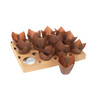 Plaque de cuisson 12 Tulipcups (x5)