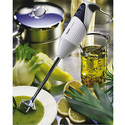 Mixeur Bamix Gastro 200 Mixeur Bamix Gastro 200
