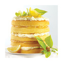 Moules layer cake Wilton (x5)