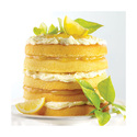 Moules layer cake Wilton (x5) Moules layer cake Wilton (x5)