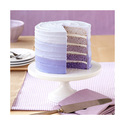 Moules layer cake Wilton (x5) Moules layer cake Wilton (x5)