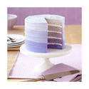 Moules layer cake Wilton (x5)
