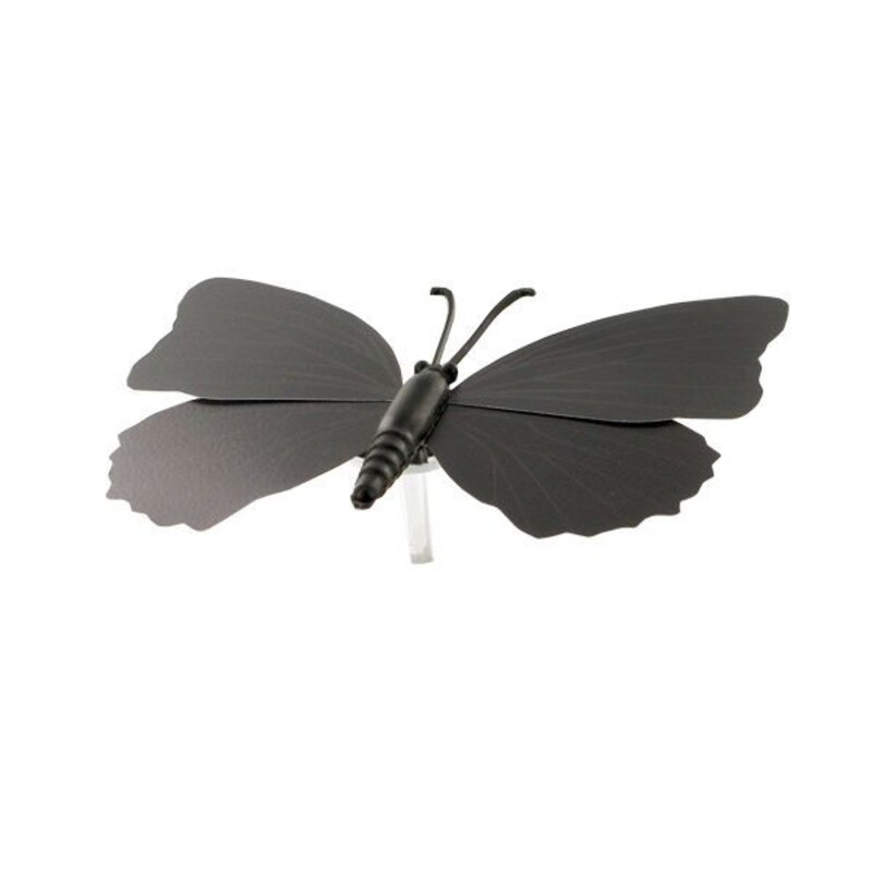 Papillons noirs aimantés assortis (x3)