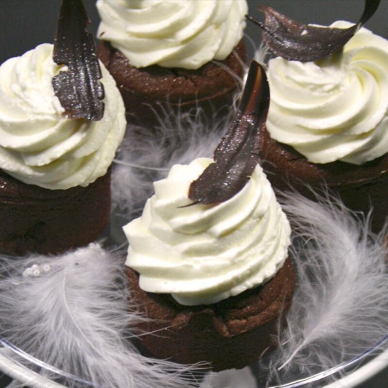pack recette plumes en chocolat