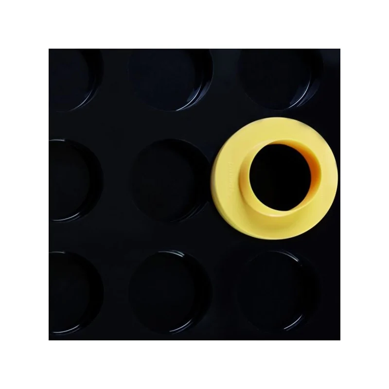 Moule silicone Rond Pavoni