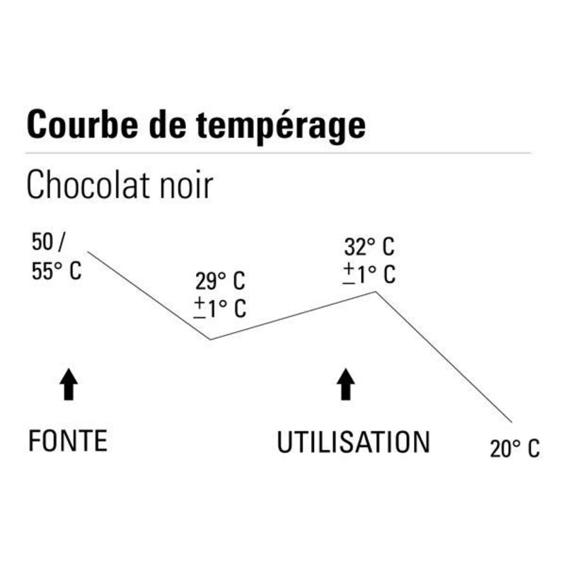 Chocolat noir Succession 55% palets 1 kg Cémoi