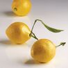 Moule silicone 3D Citron Pavoni