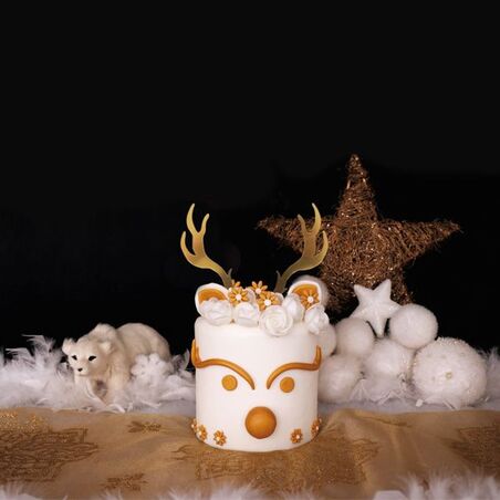 Coffret Mon Layer Cake Renne
