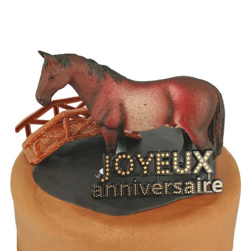 Kit decor gateau cheval - decor patisserie