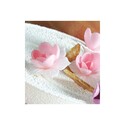 Jonquille blanche et rose (x 5) Jonquille blanche et rose (x 5)