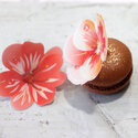 13 Fleurs 3D comestibles en azyme assorties Patisdécor 13 Fleurs 3D comestibles en azyme assorties Patisdécor