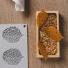 Moule silicone Feuilles Pavoni