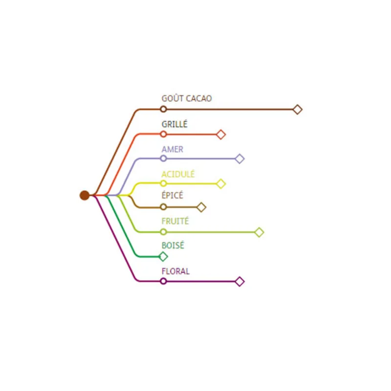 Chocolat Noir en pistoles St Domingue 1 Kg