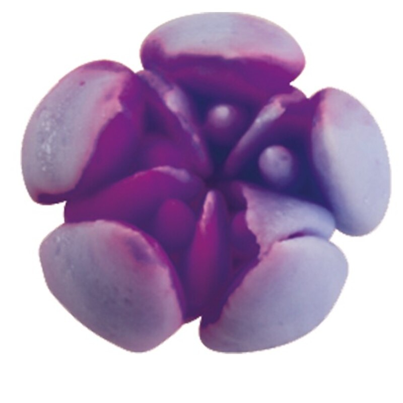Douille à fleur inox n°8