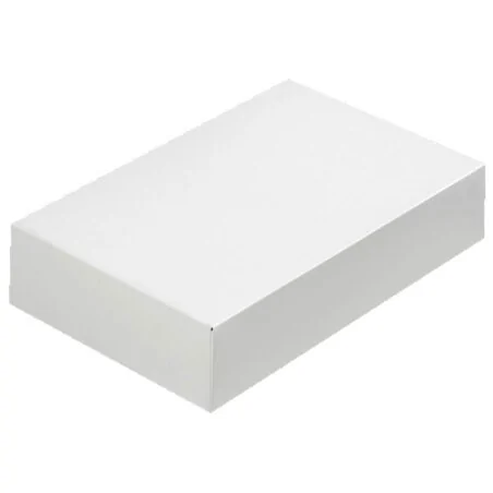 Coffret lunch blanc (x50)