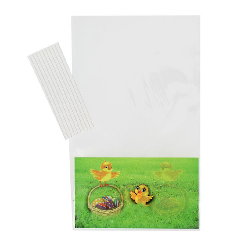 Sachets bonbons Poussins + liens 14 x 23 cm (x10)