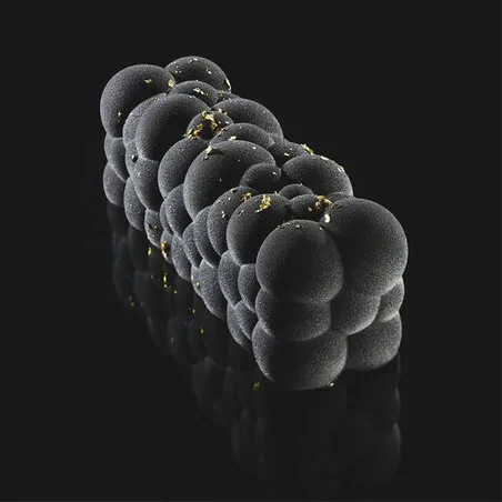 Moule silicone Atomic