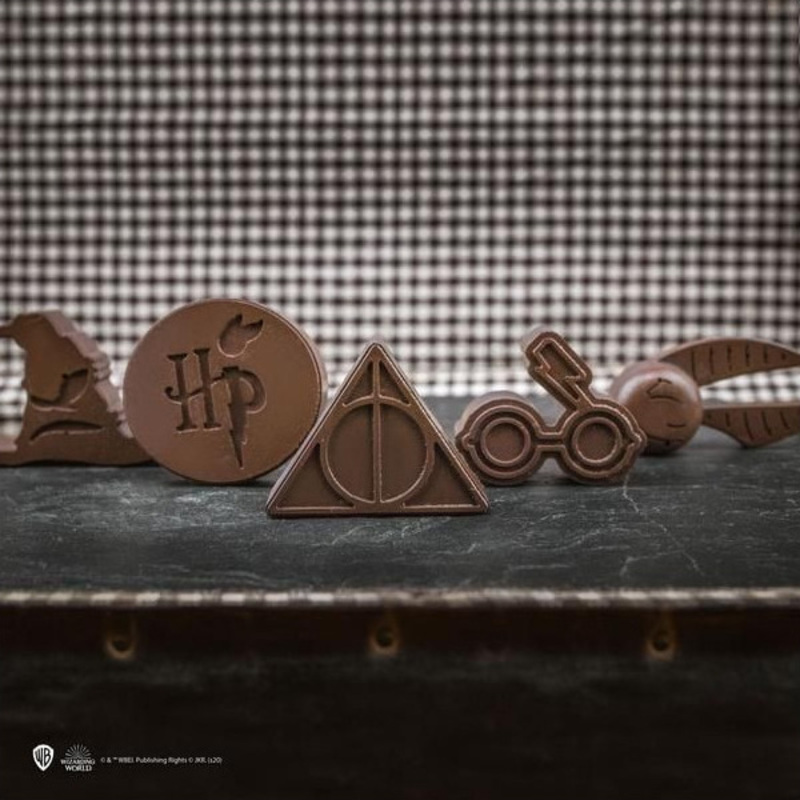 Moule chocolats / glaçons Harry Potter