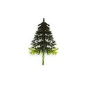 Sapin vert 2 tons sur pique (x100) Sapin vert 2 tons sur pique (x100)