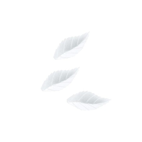 Feuille de rose 38 mm blanche (x500)