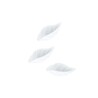 Feuille de rose 38 mm blanche (x500)