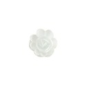 Grande rose blanche (x36) Grande rose blanche (x36)