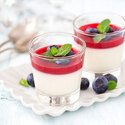 Panna Cotta sans cuisson Ancel 1,2 kg Panna Cotta sans cuisson Ancel 1,2 kg