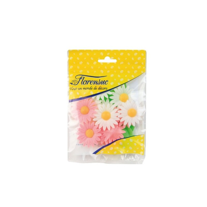 Marguerites assorties (x12)