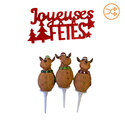 Kit décors de bûche Rennes Patisdécor Kit décors de bûche Rennes Patisdécor