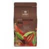 Chocolat pistoles Force Noire 1 kg