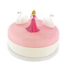 Kit Décor Gâteau Princesse blister