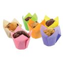 Caissettes Tulipcup assorties (x300) Caissettes Tulipcup assorties (x300)