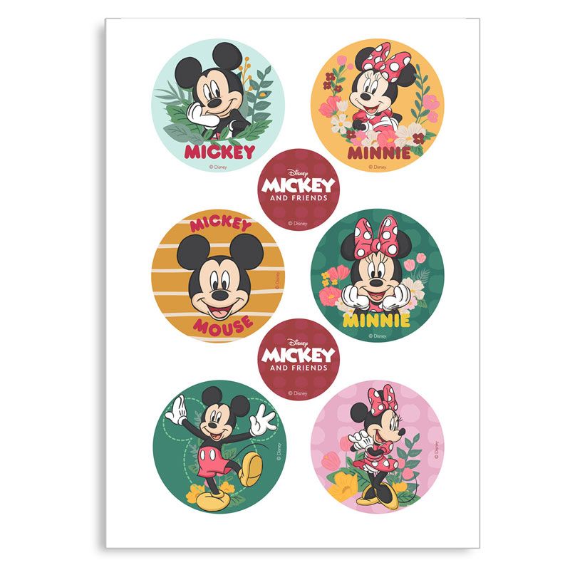 Mini disques azyme Mickey Minnie (x6)
