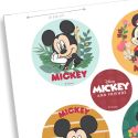 Mini disques azyme Mickey Minnie (x6)