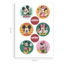 Mini disques azyme Mickey Minnie (x6)