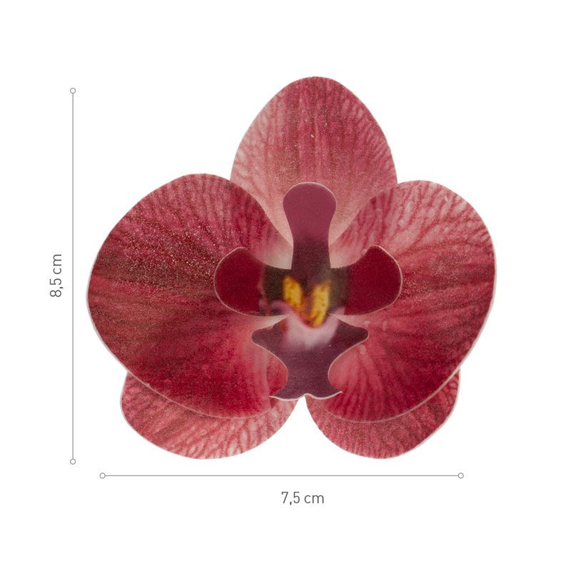 5 Orchidées Artificielles Rouges