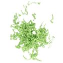 Frisure de Pâques vert anis 200 g