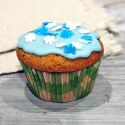 Caissettes cupcakes "Vichy vert anis" (x50)