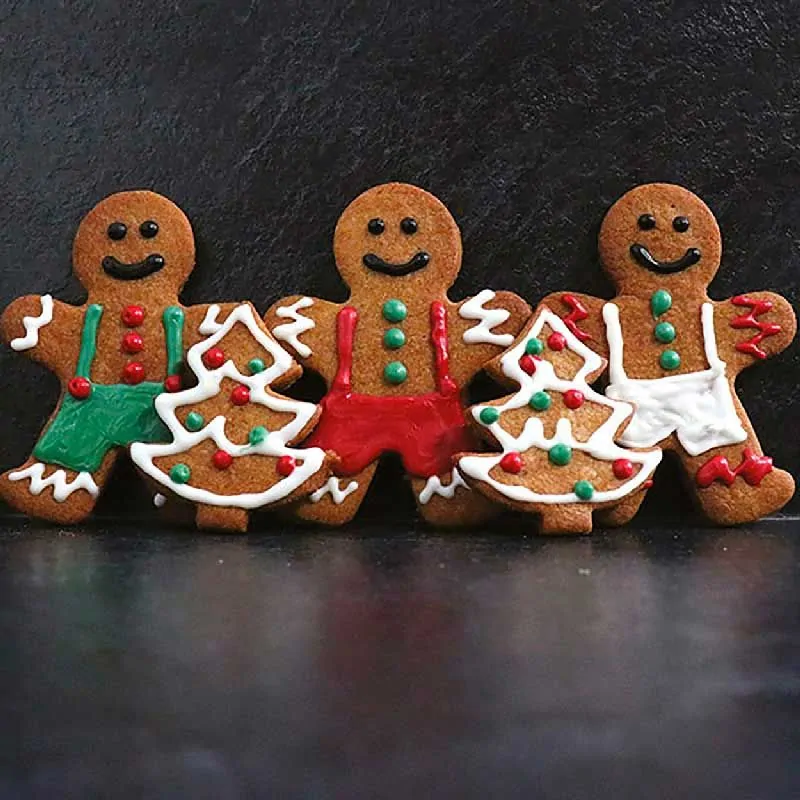 Préparation biscuits pain d'épices Patisdécor 250 g