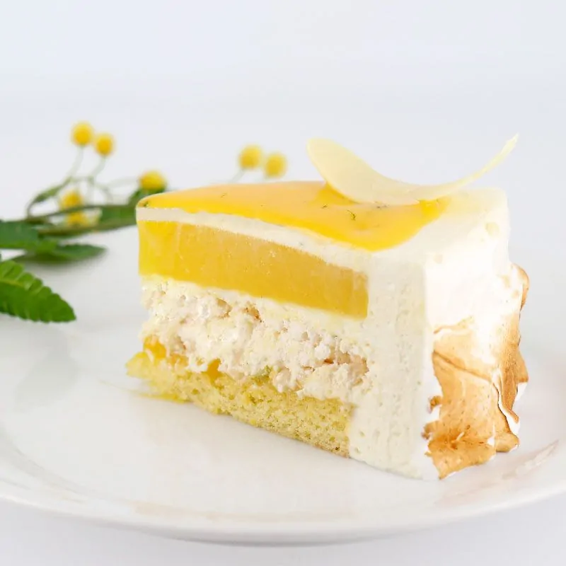 Préparation bavarois Gel Citron Patisdécor