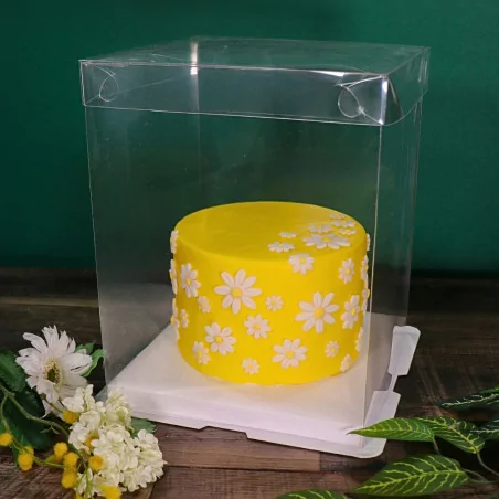 Boîte gâteau transparente -...