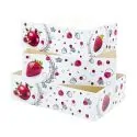 Boîtes petits-fours Morgane 20 x 13 cm - Hauteur 6 cm (x 100)
