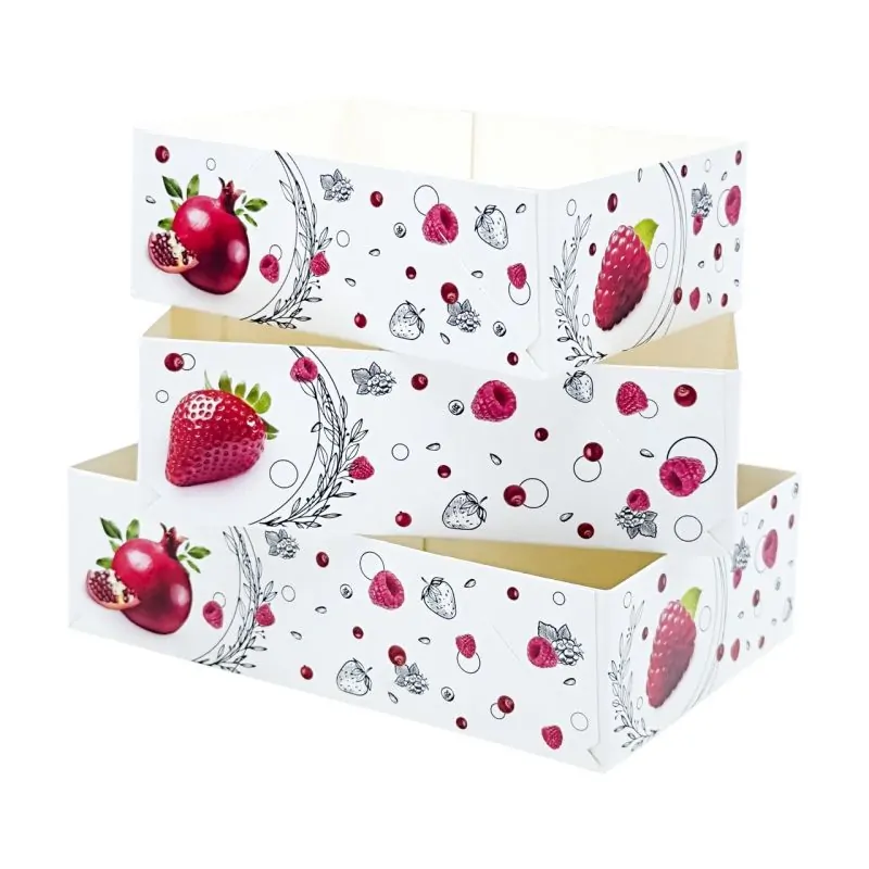 Boîtes petits-fours Morgane 20 x 13 cm - Hauteur 6 cm (x 100)